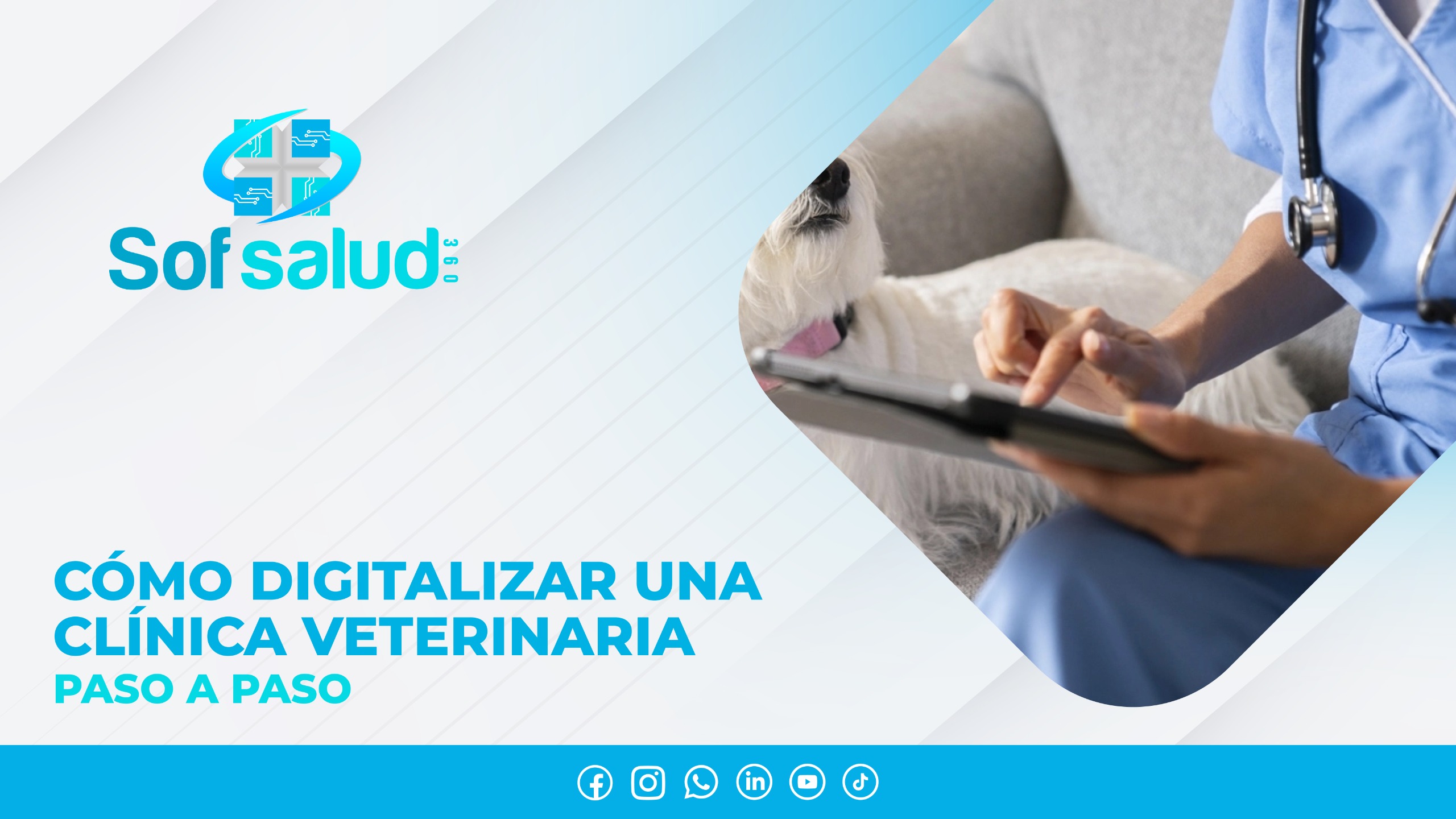 ¿Cómo digitalizar una clínica veterinaria paso a paso?